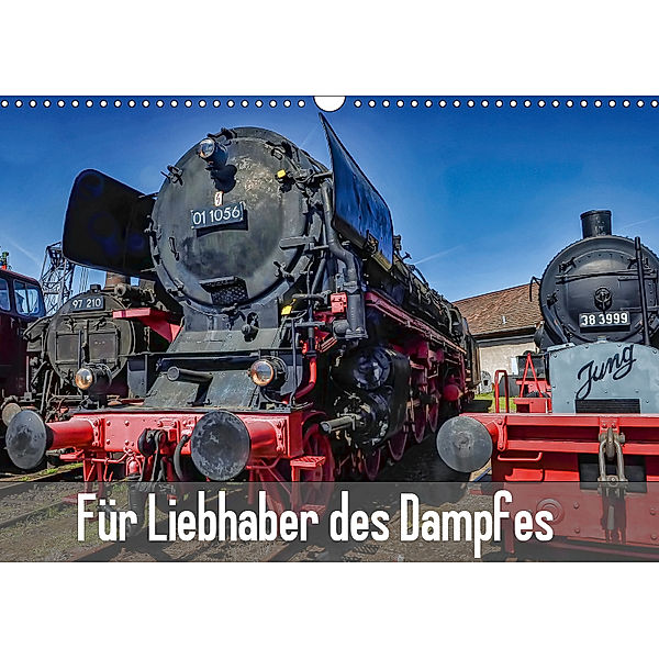 Für Liebhaber des Dampfes (Wandkalender 2019 DIN A3 quer), docskh