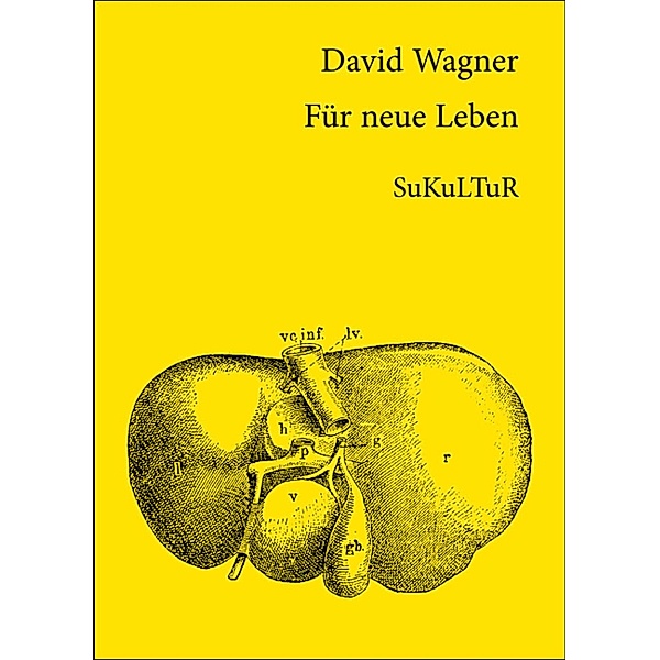 Für neue Leben / Schöner Lesen Bd.85, David Wagner