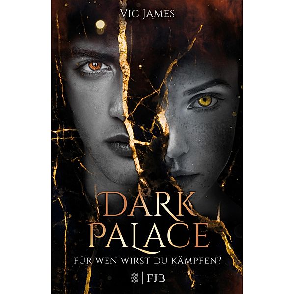 Für wen wirst du kämpfen? / Dark Palace Bd.3, Vic James