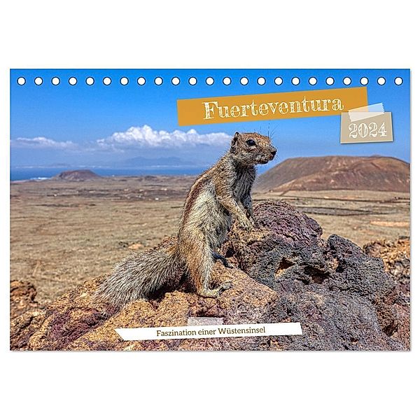 Fuerteventura - Faszination einer Wüsteninsel (Tischkalender 2024 DIN A5 quer), CALVENDO Monatskalender, Peter Balan