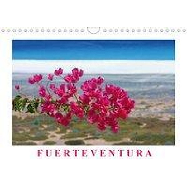 Fuerteventura (Wandkalender 2020 DIN A4 quer), Thomas Fietzek