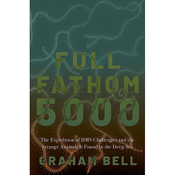 Full Fathom 5000, Graham Bell