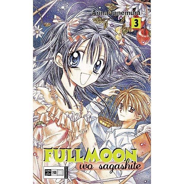 Fullmoon wo sagashite Bd.3, Arina Tanemura