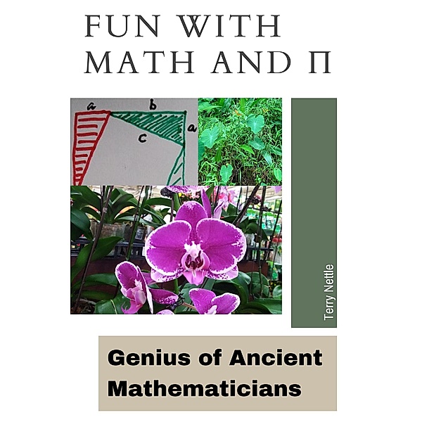 Fun With Math And p: Genius of Ancient Mathematicians, Terry Nettle