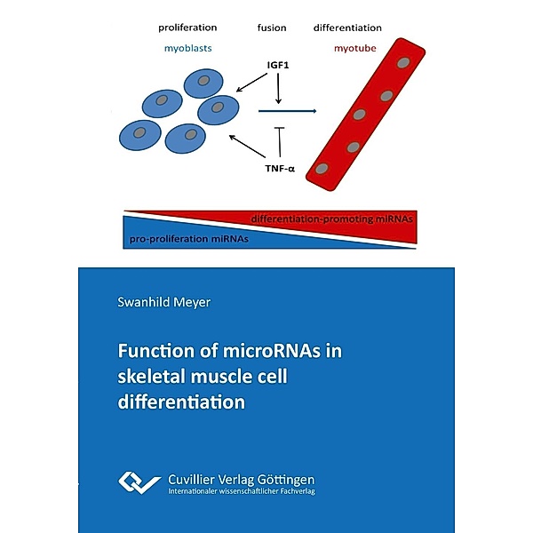 Function of microRNAs in skeletal muscle cell differentiation, Swanhild Meyer