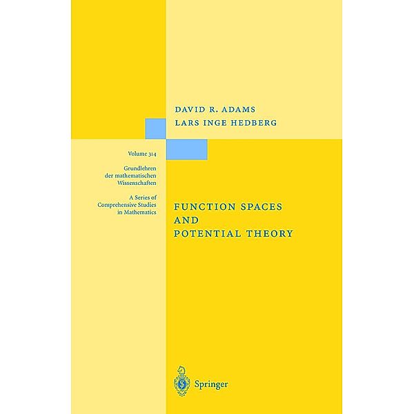 Function Spaces and Potential Theory / Grundlehren der mathematischen Wissenschaften Bd.314, David R. Adams, Lars I. Hedberg