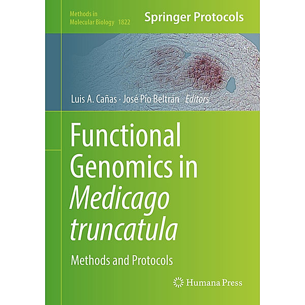 Functional Genomics in Medicago truncatula