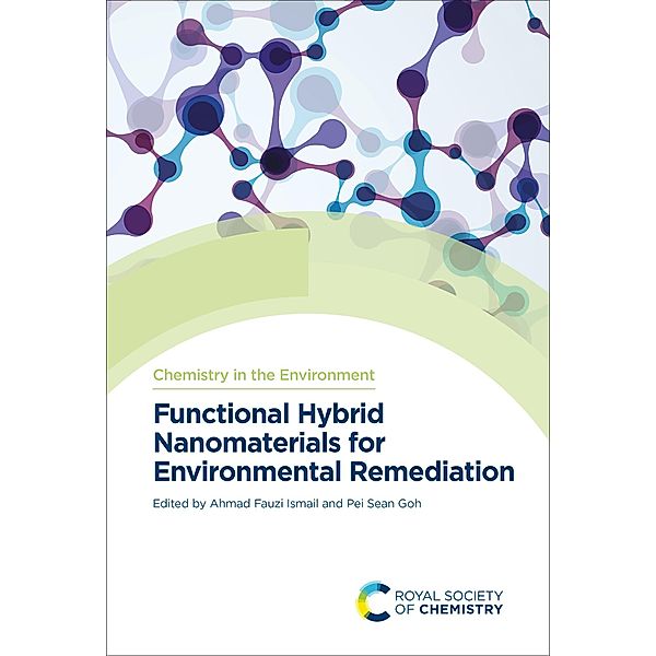 Functional Hybrid Nanomaterials for Environmental Remediation / ISSN