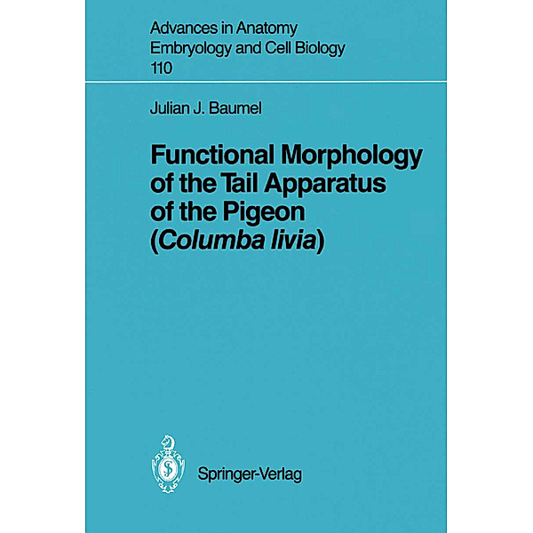 Functional Morphology of the Tail Apparatus of the Pigeon (Columba livia), Julian J. Baumel