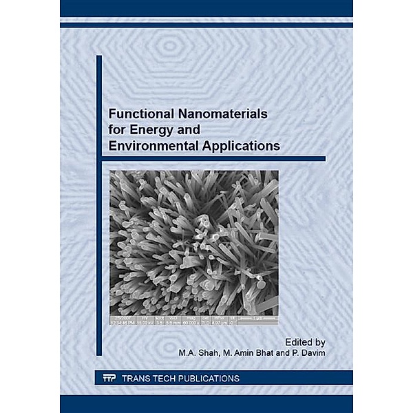 Functional Nanomaterials for Energy and Environmental Applications