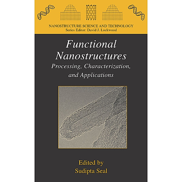 Functional Nanostructures