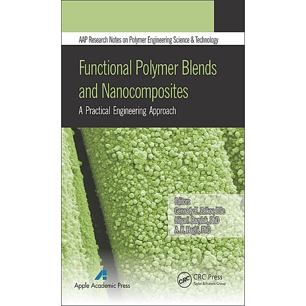 Functional Polymer Blends and Nanocomposites