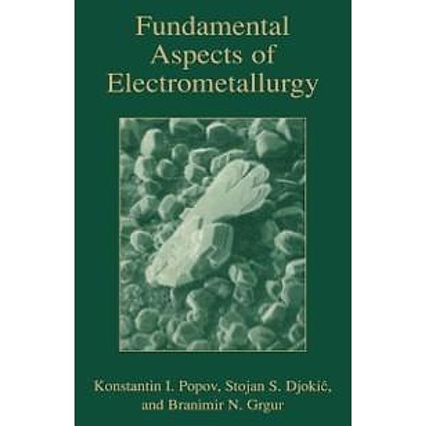 Fundamental Aspects of Electrometallurgy, Konstantin Popov, Branamir Grgur, Stojan S. Djokic
