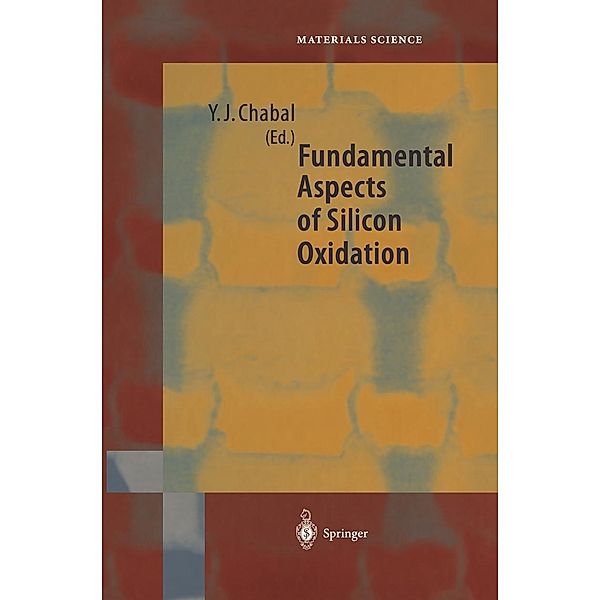 Fundamental Aspects of Silicon Oxidation / Springer Series in Materials Science Bd.46