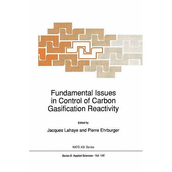 Fundamental Issues in Control of Carbon Gasification Reactivity, JA LAHAYE