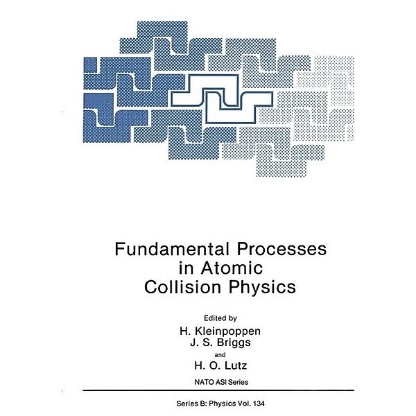 Fundamental Processes in Atomic Collision Physics / NATO Science Series B: Bd.134