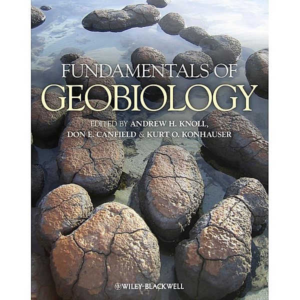 Fundamentals of Geobiology