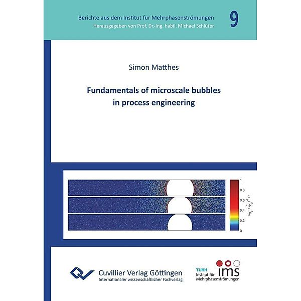 Fundamentals of microscale bubbles in process engineering