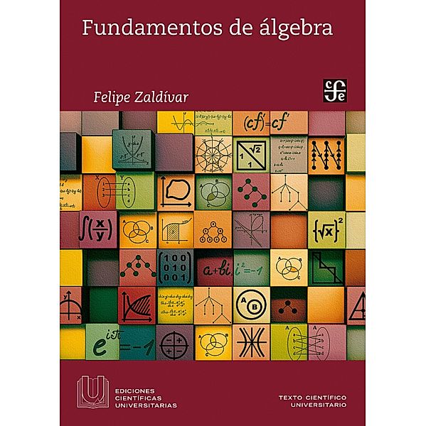 Fundamentos de álgebra, Felipe Zaldívar