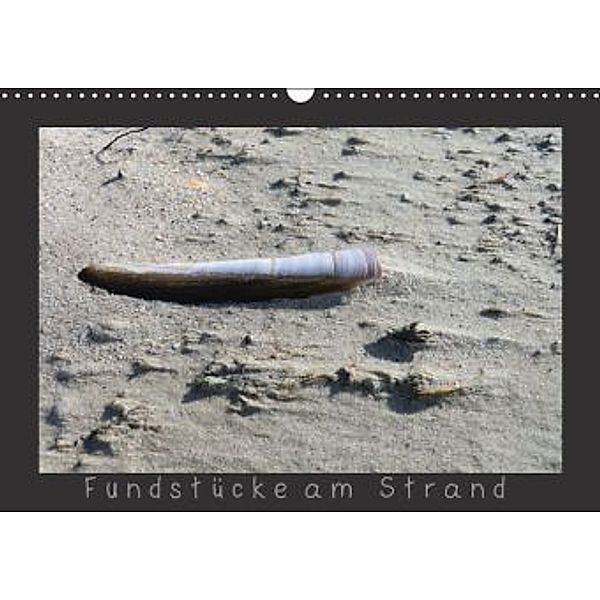 Fundstücke am Strand (Wandkalender 2015 DIN A3 quer), Anja Otto