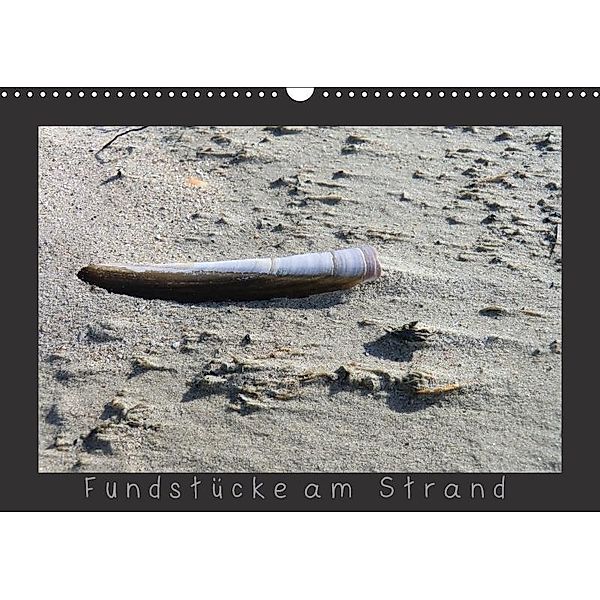 Fundstücke am Strand (Wandkalender 2017 DIN A3 quer), Anja Otto
