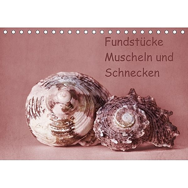 Fundstücke (Tischkalender 2018 DIN A5 quer), Monika Buch