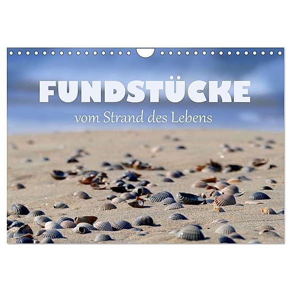 Fundstücke vom Strand des Lebens (Wandkalender 2024 DIN A4 quer), CALVENDO Monatskalender, Christine B-B Müller