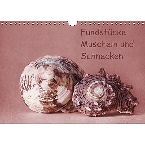 Fundstücke (Wandkalender 2017 DIN A4 quer), Monika Buch