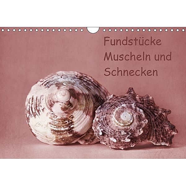 Fundstücke (Wandkalender 2018 DIN A4 quer), Monika Buch