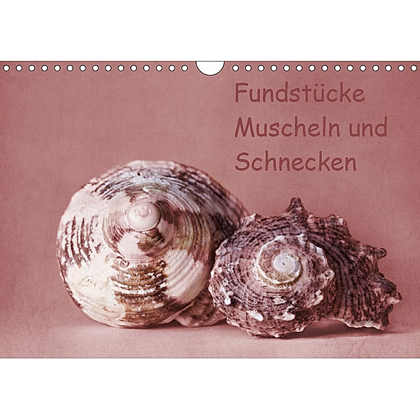 Fundstücke (Wandkalender 2019 DIN A4 quer), Monika Buch