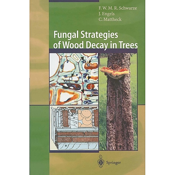 Fungal Strategies of Wood Decay in Trees, Francis W. M. R. Schwarze, Julia Engels, Claus Mattheck