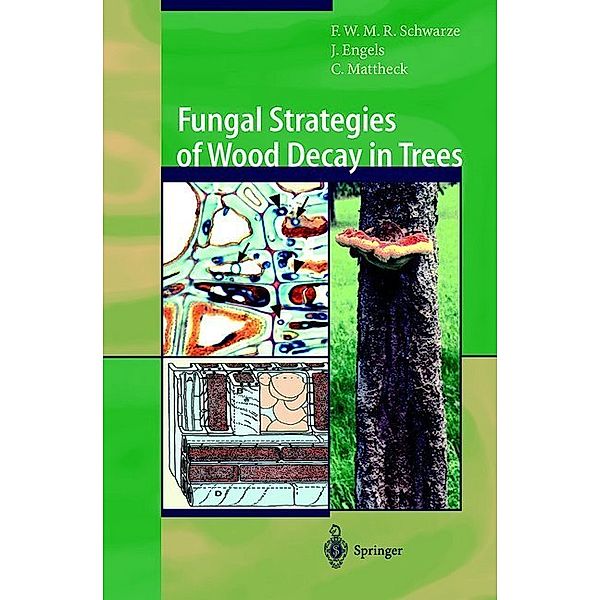 Fungal Strategies of Wood Decay in Trees, Francis W.M.R. Schwarze, Julia Engels, Claus Mattheck