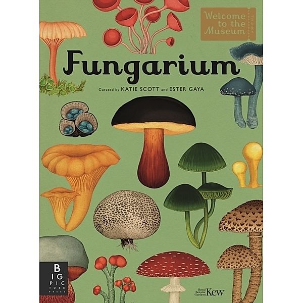 Fungarium, Katie Scott, Ester Gaya