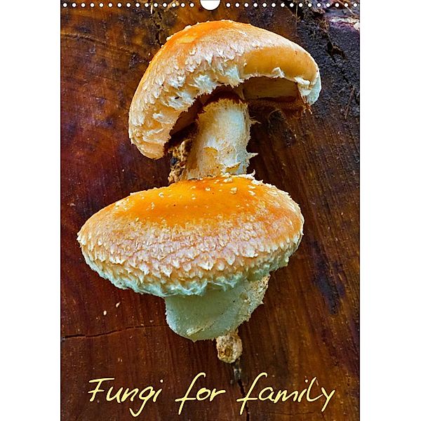 Fungi for family (Wall Calendar 2023 DIN A3 Portrait), Clemens Stenner