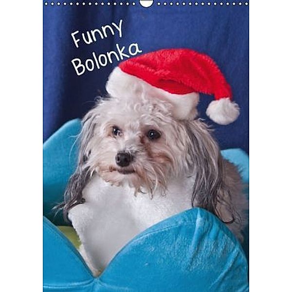 Funny Bolonka (Wandkalender 2015 DIN A3 hoch), weh-zet