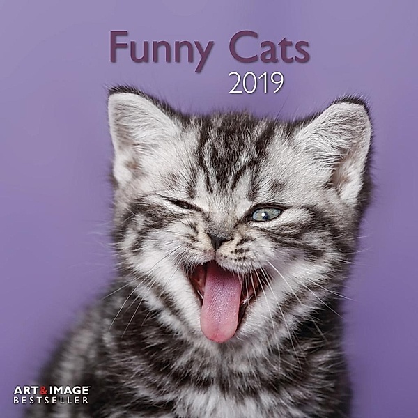 Funny Cats 2019