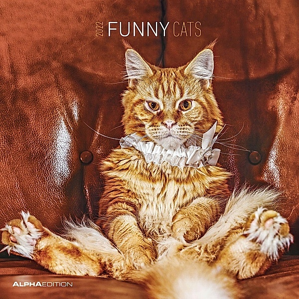 Funny Cats 2022 - Broschürenkalender 30x30 cm (30x60 geöffnet) - Kalender mit Platz für Notizen - Katzen - Bildkalender