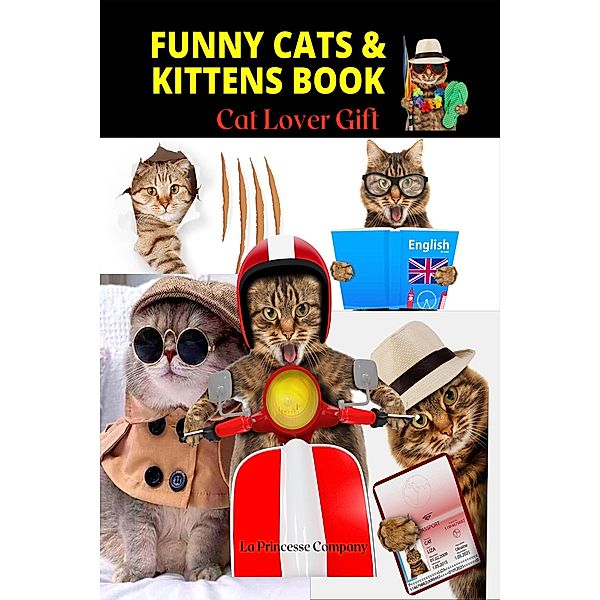 Funny Cats & Kittens Book - Cat Lover Gifts (Pet Book, #3) / Pet Book, Engy Khalil