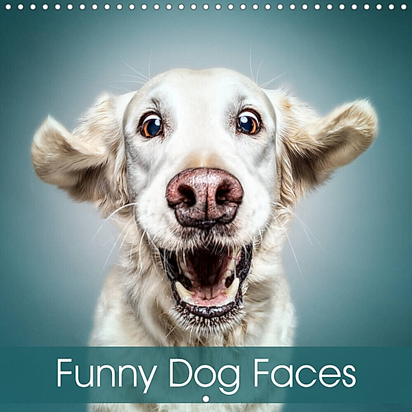 Funny Dog Faces (Wall Calendar 2023 300 × 300 mm Square), Manuela und Stefan Kulpa