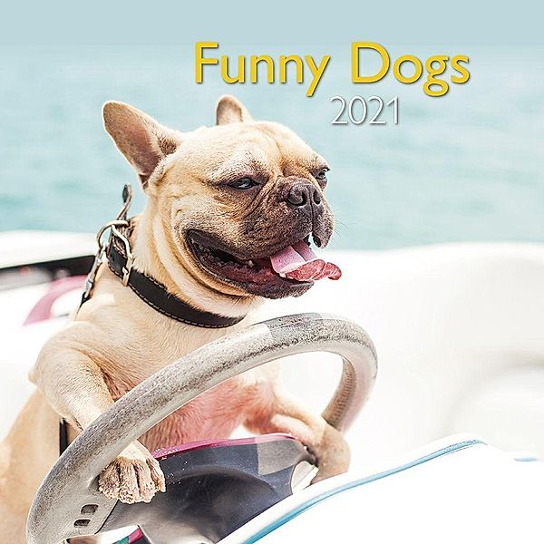 Funny Dogs 2021