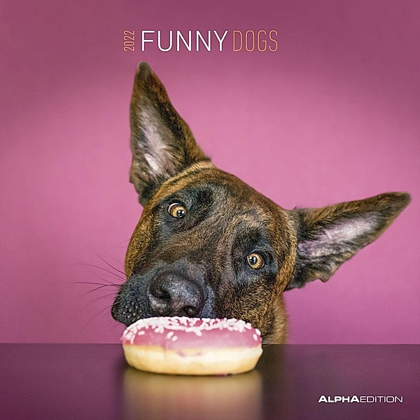 Funny Dogs 2022 - Broschürenkalender 30x30 cm (30x60 geöffnet) - Kalender mit Platz für Notizen - Hunde - Bildkalender -