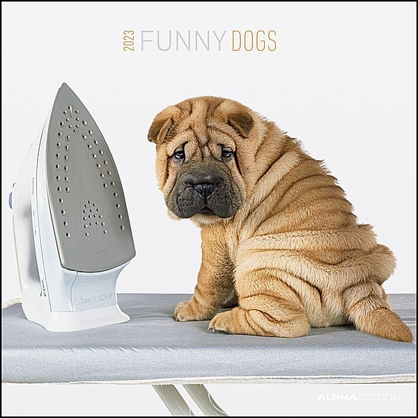 Funny Dogs 2023 - Broschürenkalender 30x30 cm (30x60 geöffnet) - Kalender mit Platz für Notizen - Hunde - Bildkalender -