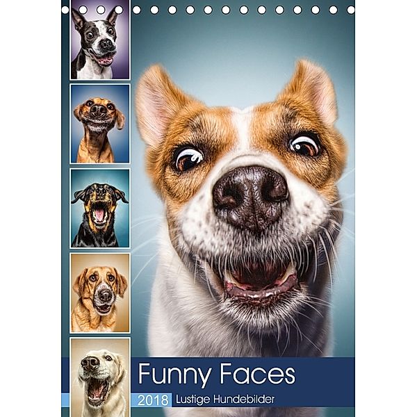 Funny Faces - Lustige Hundebilder (Tischkalender 2018 DIN A5 hoch), Manuela Kulpa