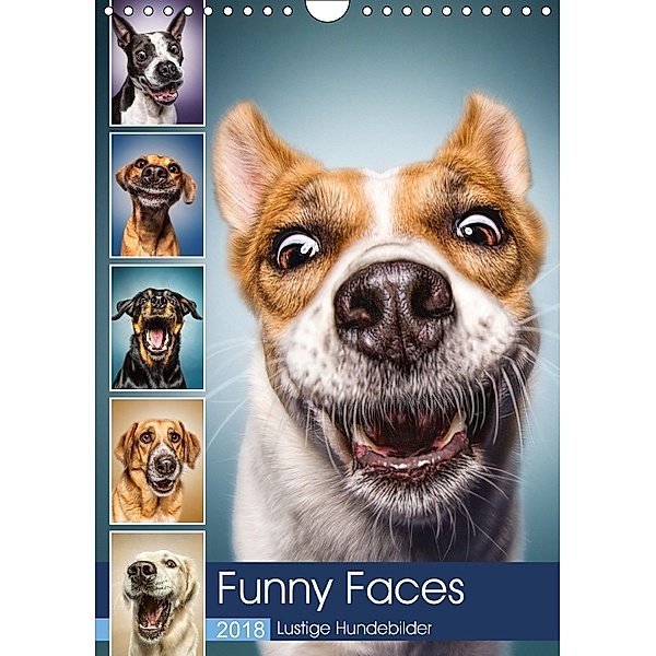 Funny Faces - Lustige Hundebilder (Wandkalender 2018 DIN A4 hoch), Manuela Kulpa