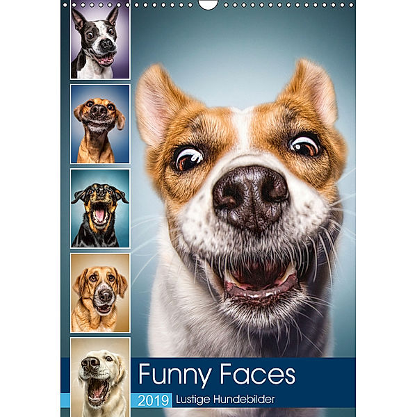 Funny Faces - Lustige Hundebilder (Wandkalender 2019 DIN A3 hoch), Manuela Kulpa