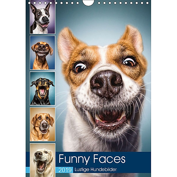 Funny Faces - Lustige Hundebilder (Wandkalender 2019 DIN A4 hoch), Manuela Kulpa