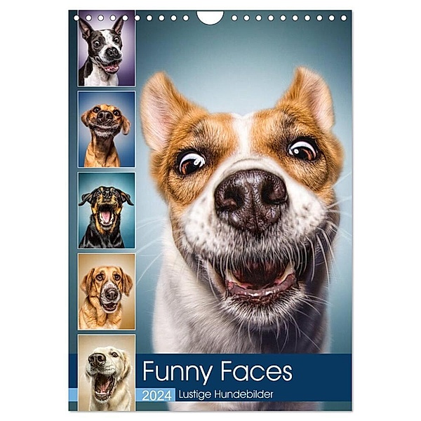Funny Faces - Lustige Hundebilder (Wandkalender 2024 DIN A4 hoch), CALVENDO Monatskalender, Manuela und Stefan Kulpa