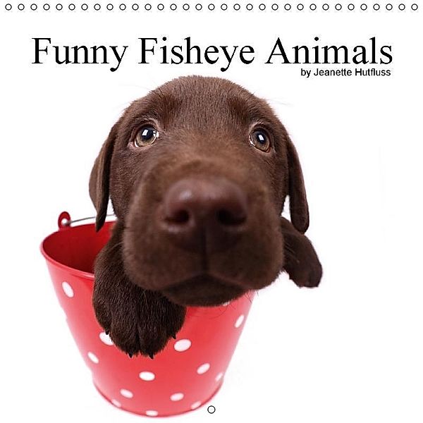 Funny Fisheye Animals (Wall Calendar 2018 300 × 300 mm Square), Jeanette Hutfluss