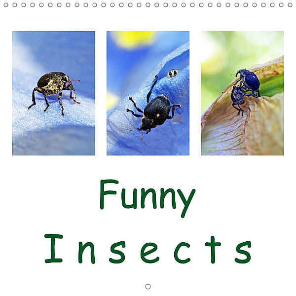 Funny Insects (Wall Calendar 2023 300 × 300 mm Square), Dagmar Laimgruber