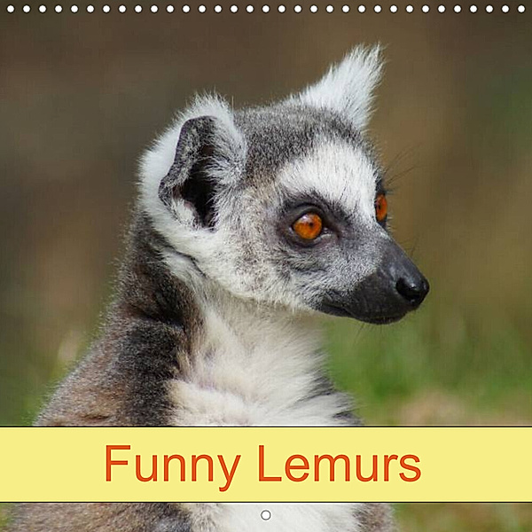 Funny Lemurs (Wall Calendar 2023 300 × 300 mm Square), Kattobello
